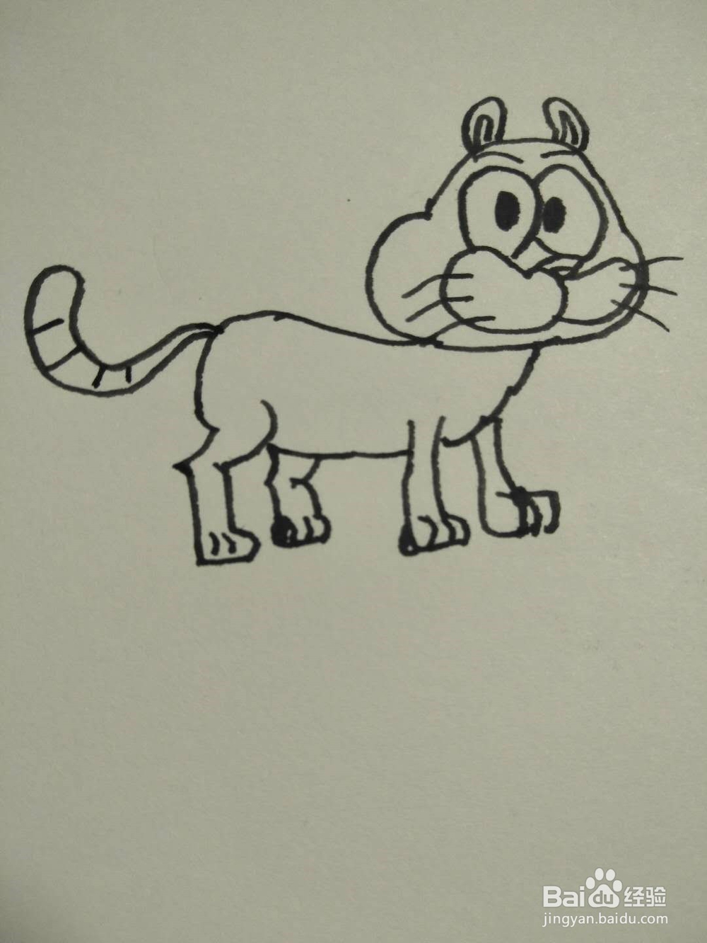 猫的简笔画法7