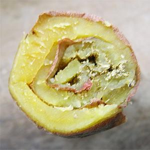 怎样制作兔兔美食之红薯卷