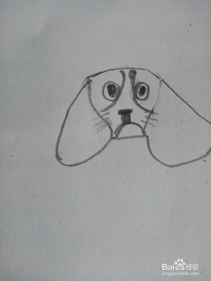 狗狗的简笔画