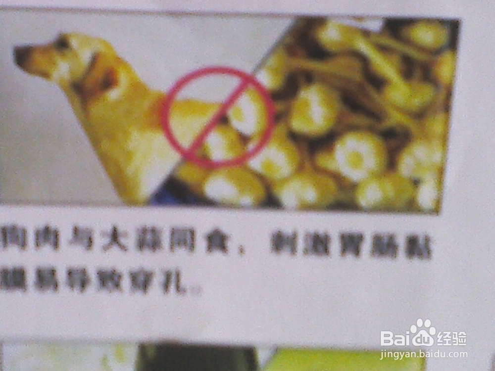 食物相克——合理饮食预防疾病：[2]