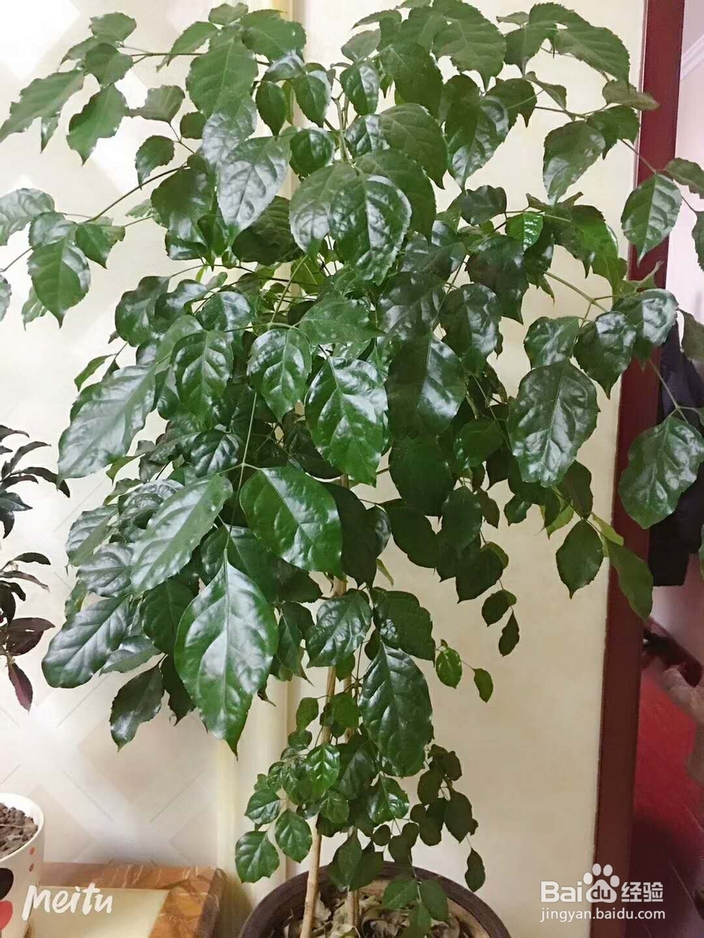 人拥有这几类特征,说明很有教养。