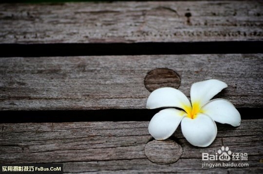 数码相机—花卉拍摄技巧