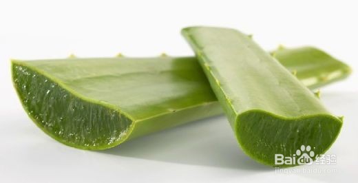 种植芦荟以及芦荟的日常使用和美容保健方法