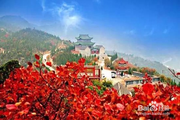 赏枫叶好去处——河南家门口赏枫叶攻略