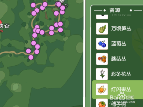 小森生活游戏中如何获得灯闪果