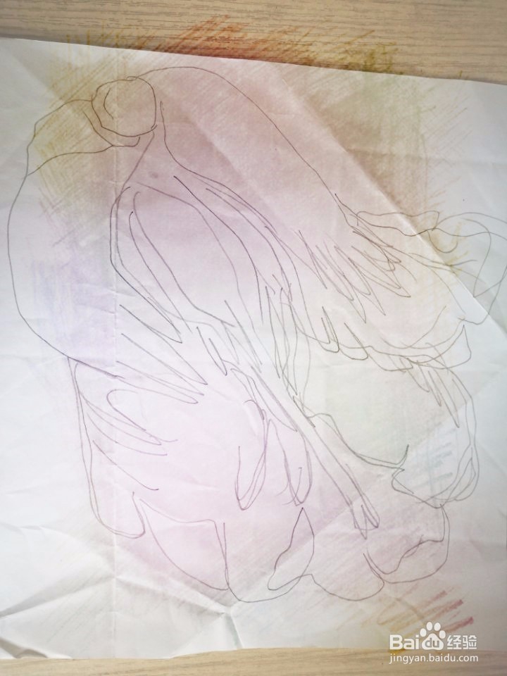 大白菜简笔方法