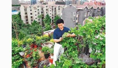 阁楼太热怎么解决