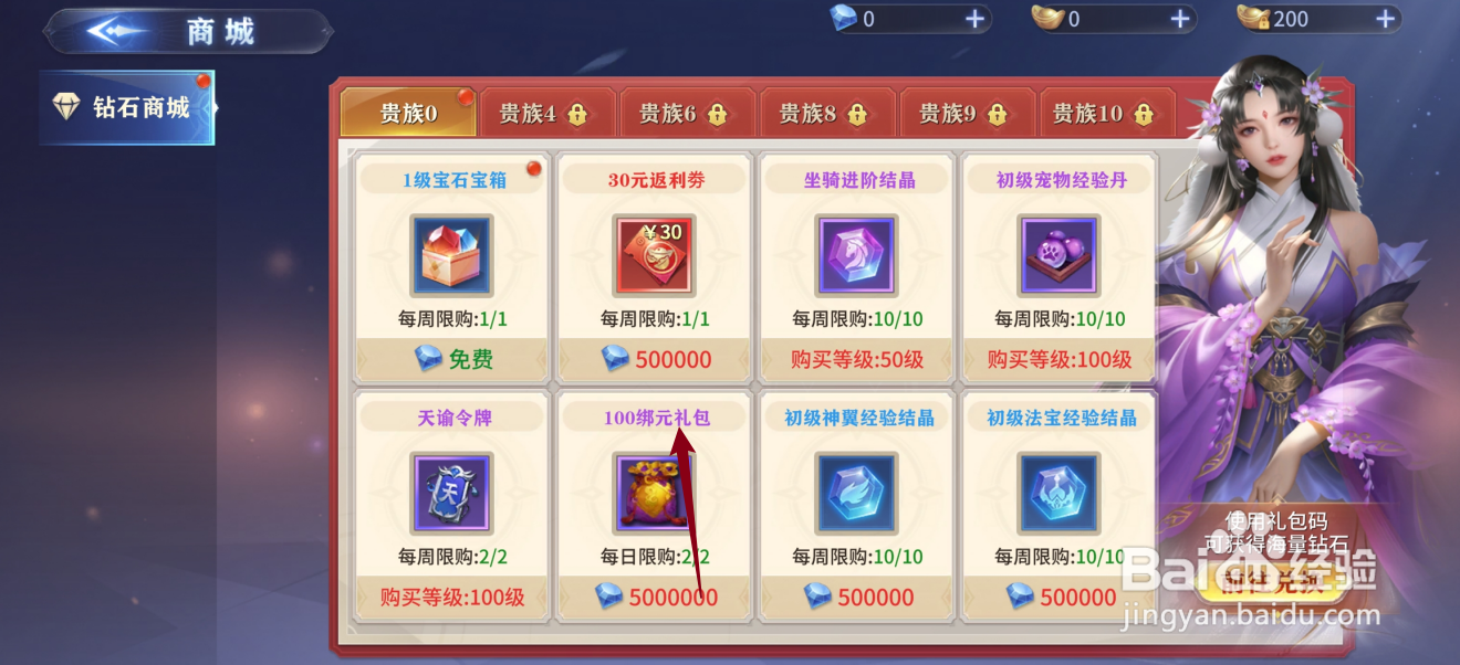 仙魔尘缘如何购买【100绑元礼包】