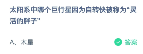 蚂蚁庄园2024.11.11：灵活的胖子