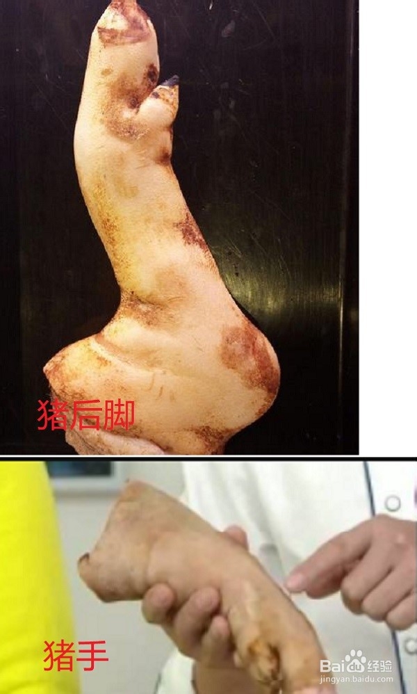 家常红烧Q弹猪蹄做法