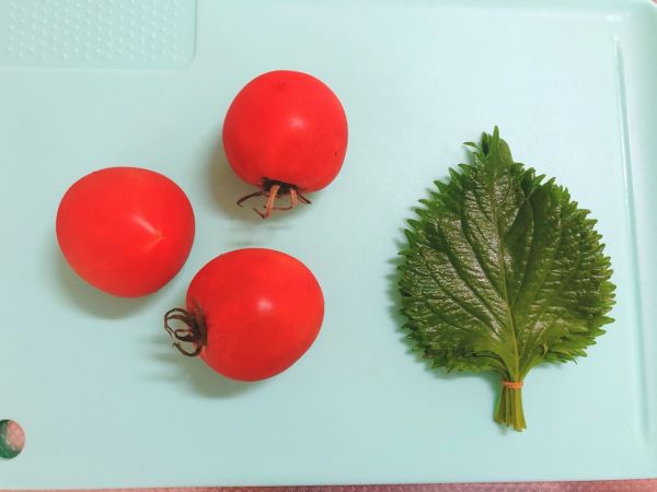 日式番茄浸鲭鱼