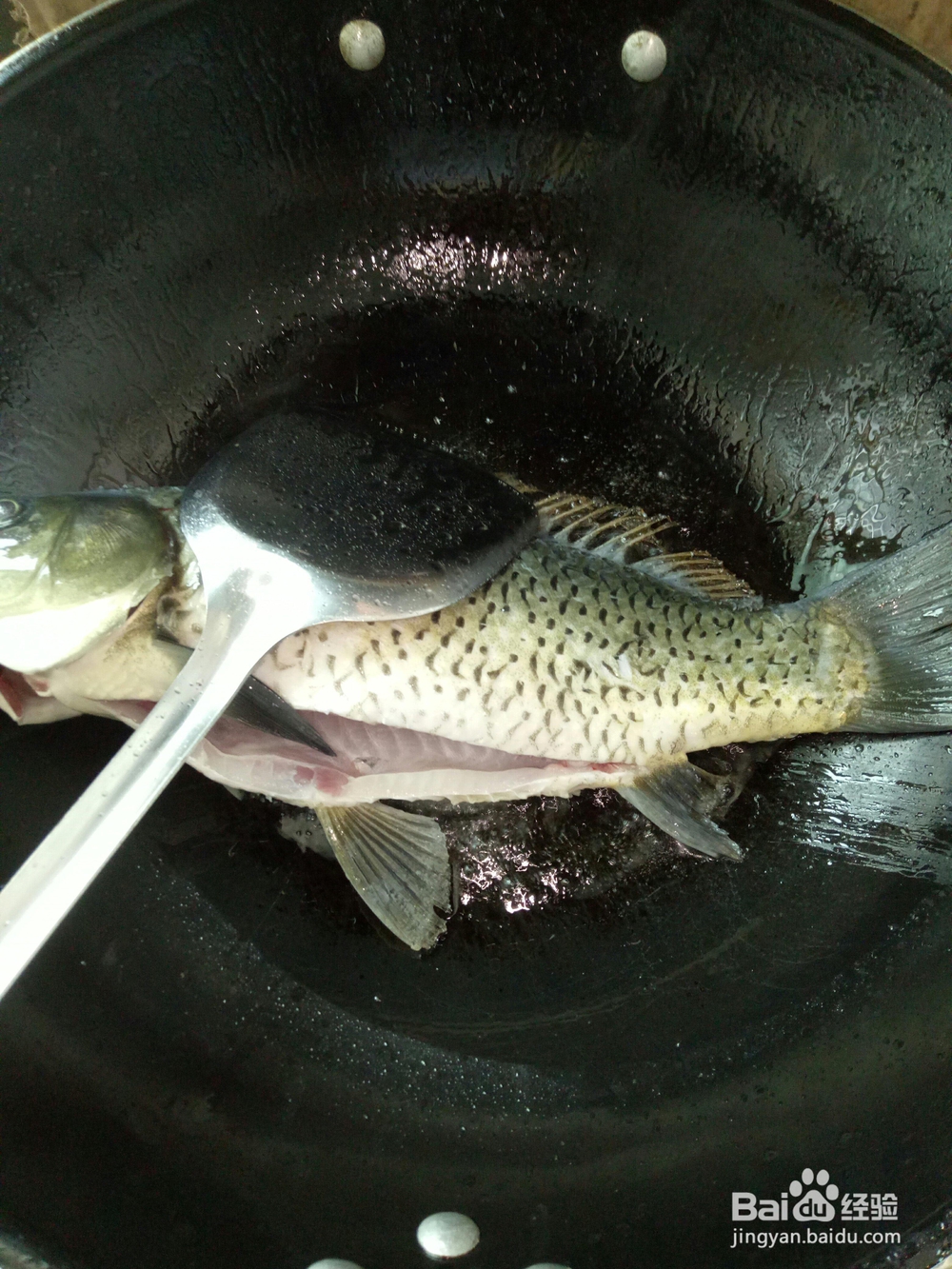 老厨师教你做紫苏鱼汤