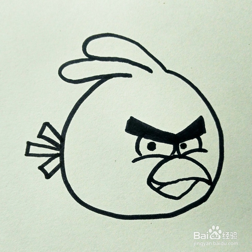 儿童简笔画：愤怒的小鸟