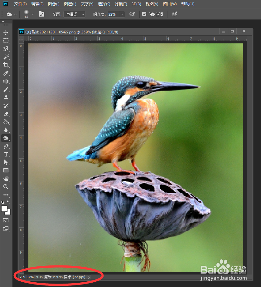 如何利用Photoshop修复放大变模糊的图片
