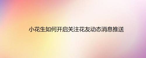 小花生如何开启关注花友动态消息推送