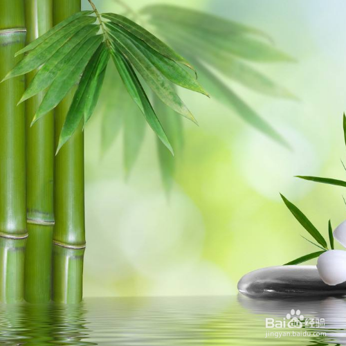 竹子叶黄如何修补?