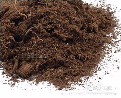 种花，土壤有哪些考究？