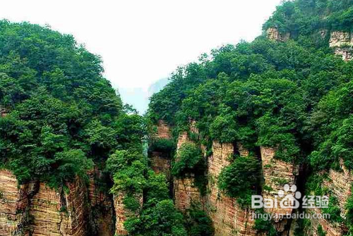 石家庄市旅游景点