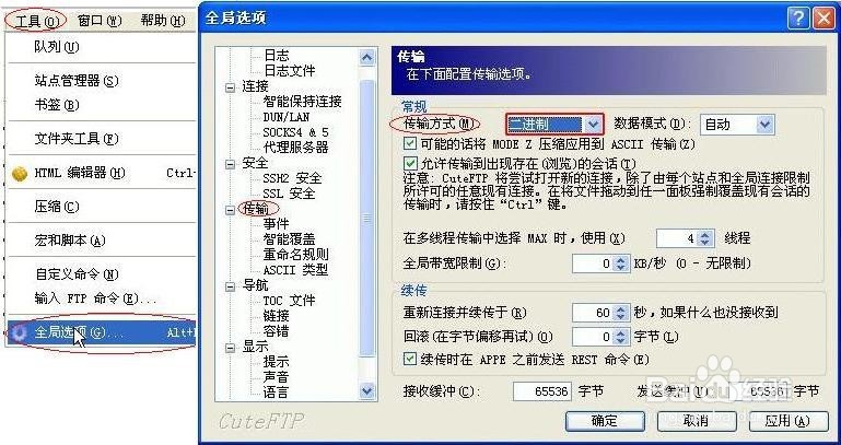 常见FTP软件的二进制方式上传图文指导