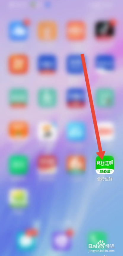 如何使用食行生鲜APP进行发票申请操作