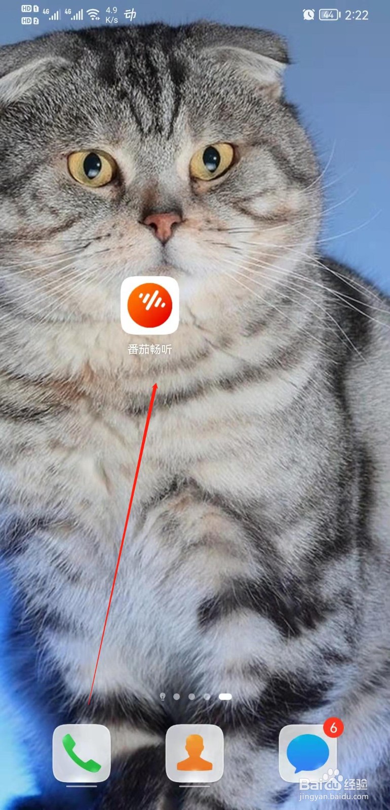 番茄畅听APP怎么查看我的收藏