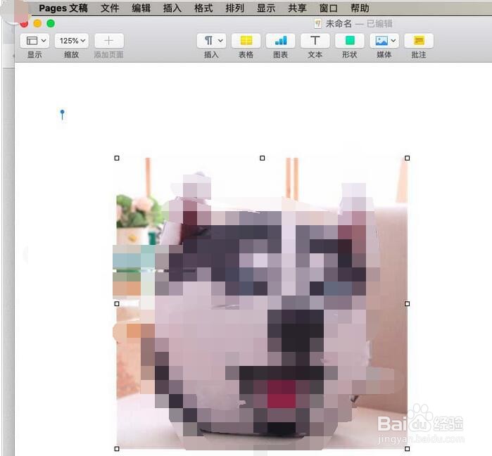 pages文章怎么插入引文