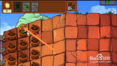 植物大战僵尸蹦蹦舞会攻略