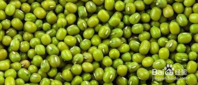 寒性食物一览表