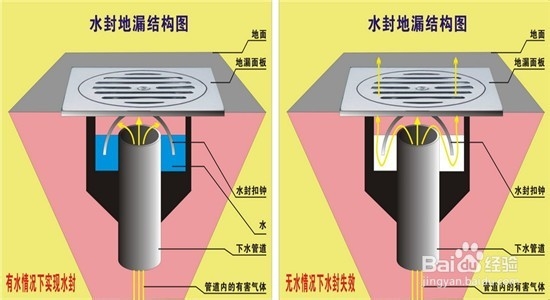 重庆装修知识之地漏——反味影响家庭健康