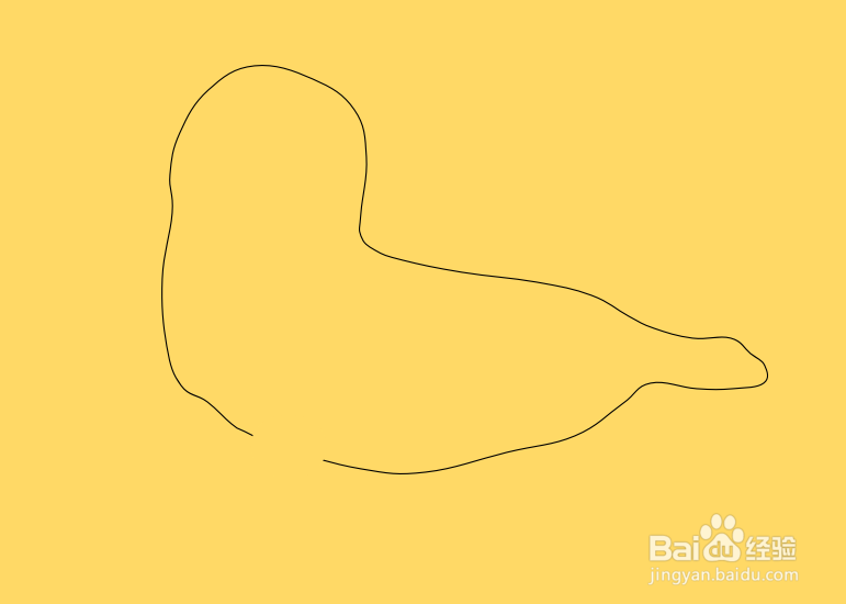 怎么画海豹幼崽的简笔画