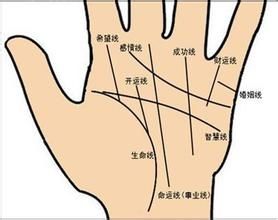 从手相看我们的身体健康 百度经验 从手相看我们的身体健康 百度经验