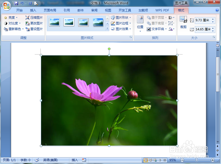 在word中给图片添加带白色边框的椭圆形状
