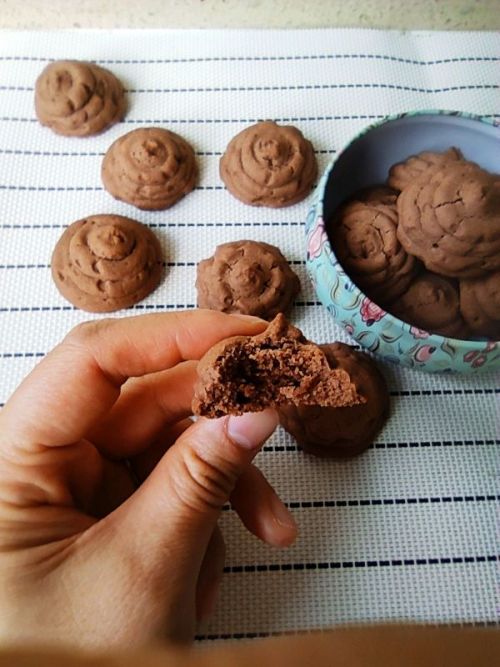 可可黄油便便曲奇饼干