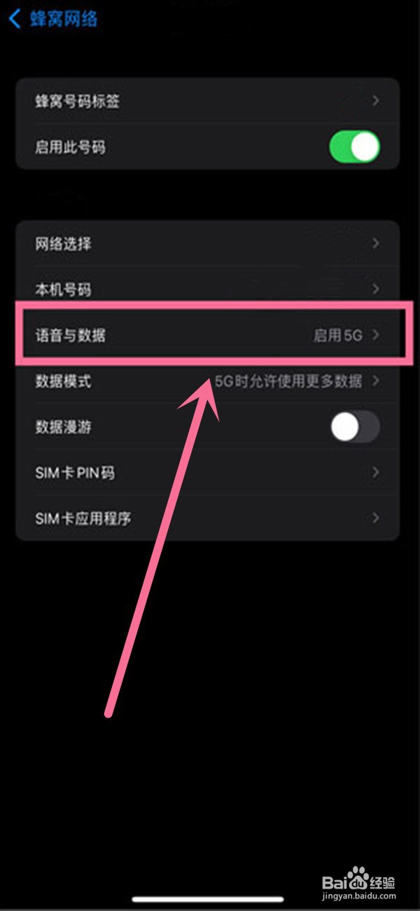 苹果14pro怎么设置4g网络
