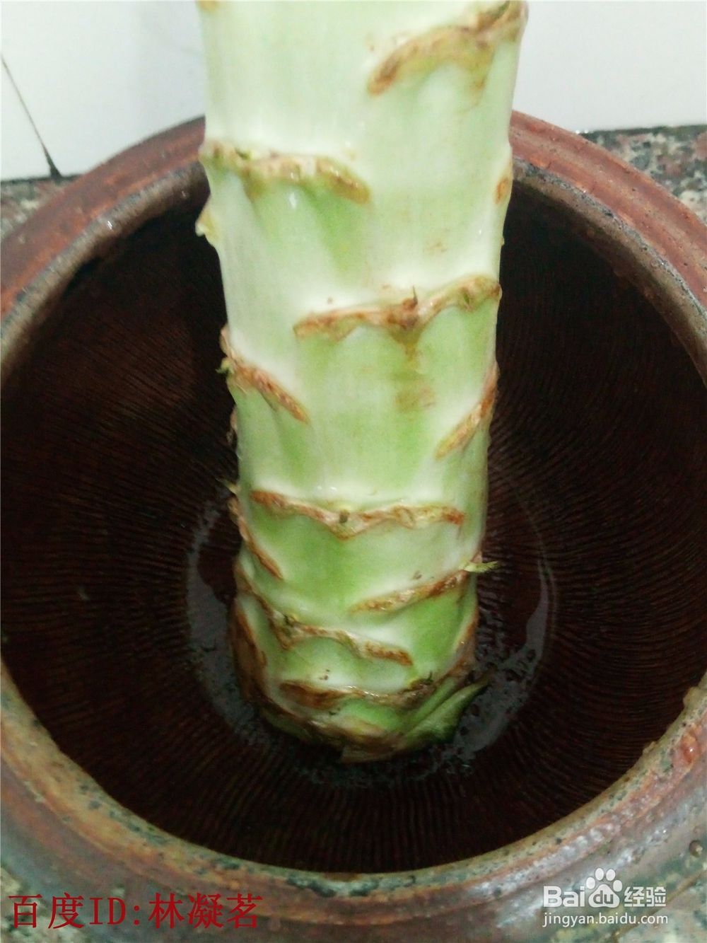 莴苣怎么样保存