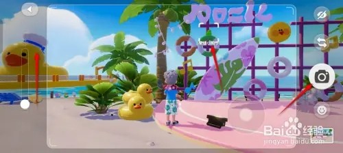 心动小镇如何拍到果绿小鸭子