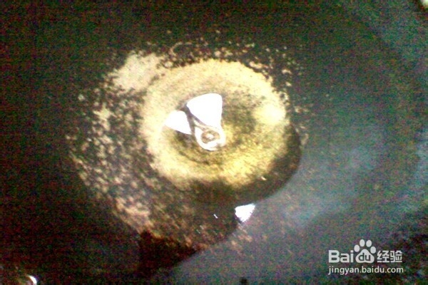 小炒萝卜缨---------营养美味