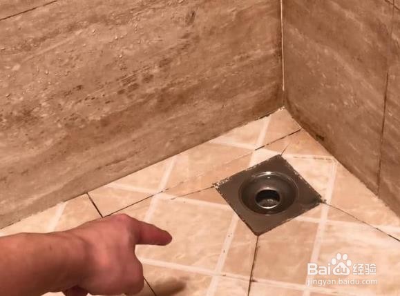 你可知道卫生间有小飞虫怎么根除吗？