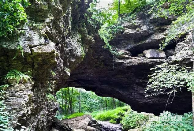 美国租车去哪玩?美国租车最强景点攻略!