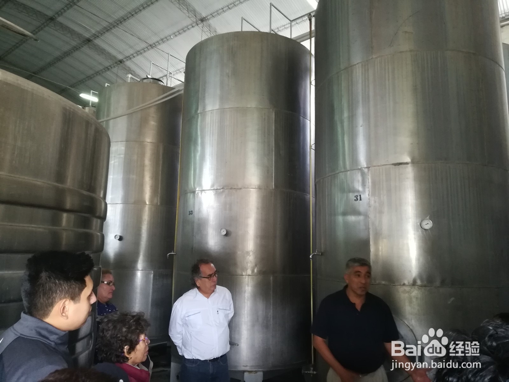 玻利维亚塔里哈市旅游攻略:红酒文化之旅