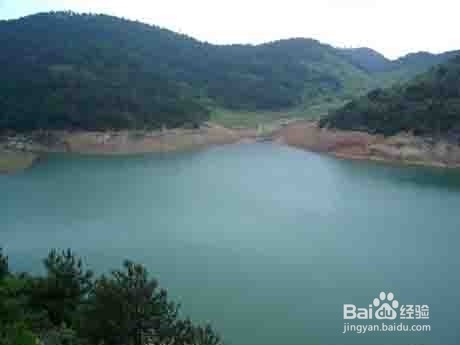 水库钓鱼打窝方法