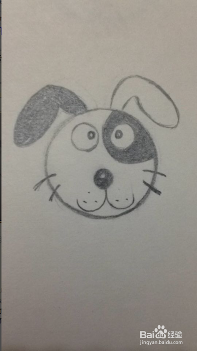 简笔画—卡通斑点狗