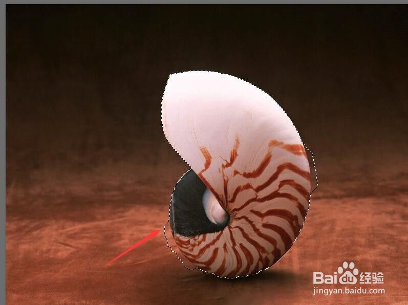 Photoshop 如何使用快速选择工具抠图