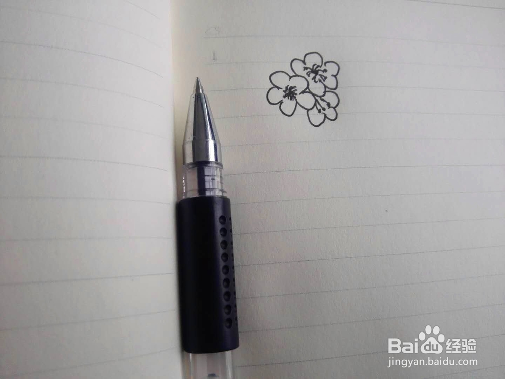 简笔画梅花的画法