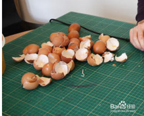 怎么除掉家里的蚂蚁等虫子