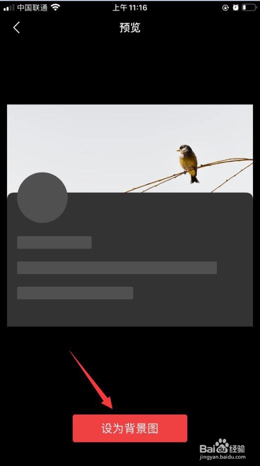 今日头条如何设置背景