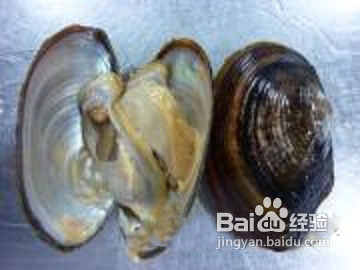 怎样做秧草咸肉河蚌