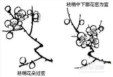 国画梅花的画法攻略
