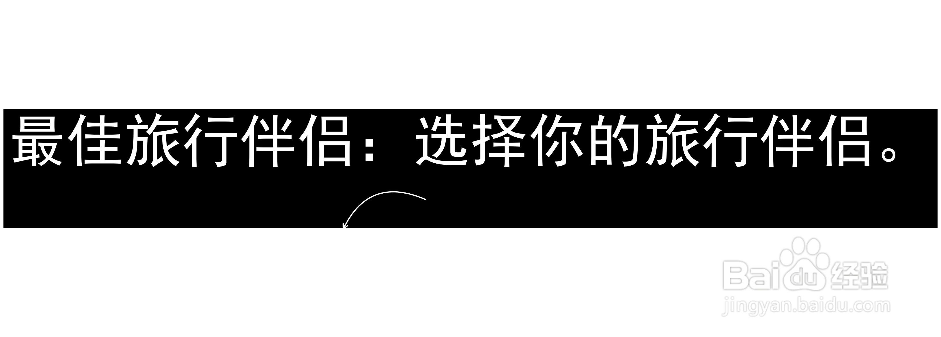 最佳旅行伴侣：选择你的旅行伴侣。