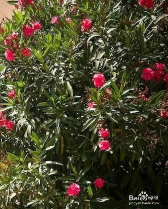 说说自己生活中强迫症的体现